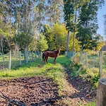 Casa Do Moinho Rural Campo E Praia , 9 Pessoas, Animais Benvindos