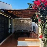 Jacaranda I Cip
