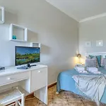 Studio Apartment In Praia Do Vau