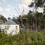 Delightful Forest Windmill, 10 Min Away From The Beach