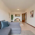 Sunny Cozy Flat W/ Terrace - Sao Joao