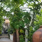 Altanure - Almatere Food Forest Boutique Hotel