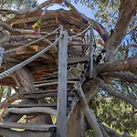 Magical Treehouse