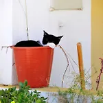 Townhouse House Flora T010 Vale Do Lobo