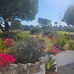 Casa Paloma