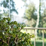 Guestready - The Perfect Retreat Near The Beach