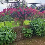 Quinta Do Vale Do Monte
