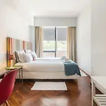 Cozy Stay - Cedofeita 436