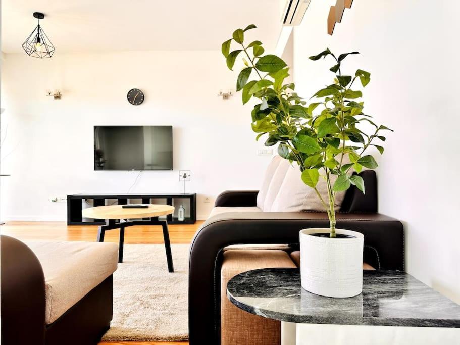 Luz Benfica Apartment Lissabon