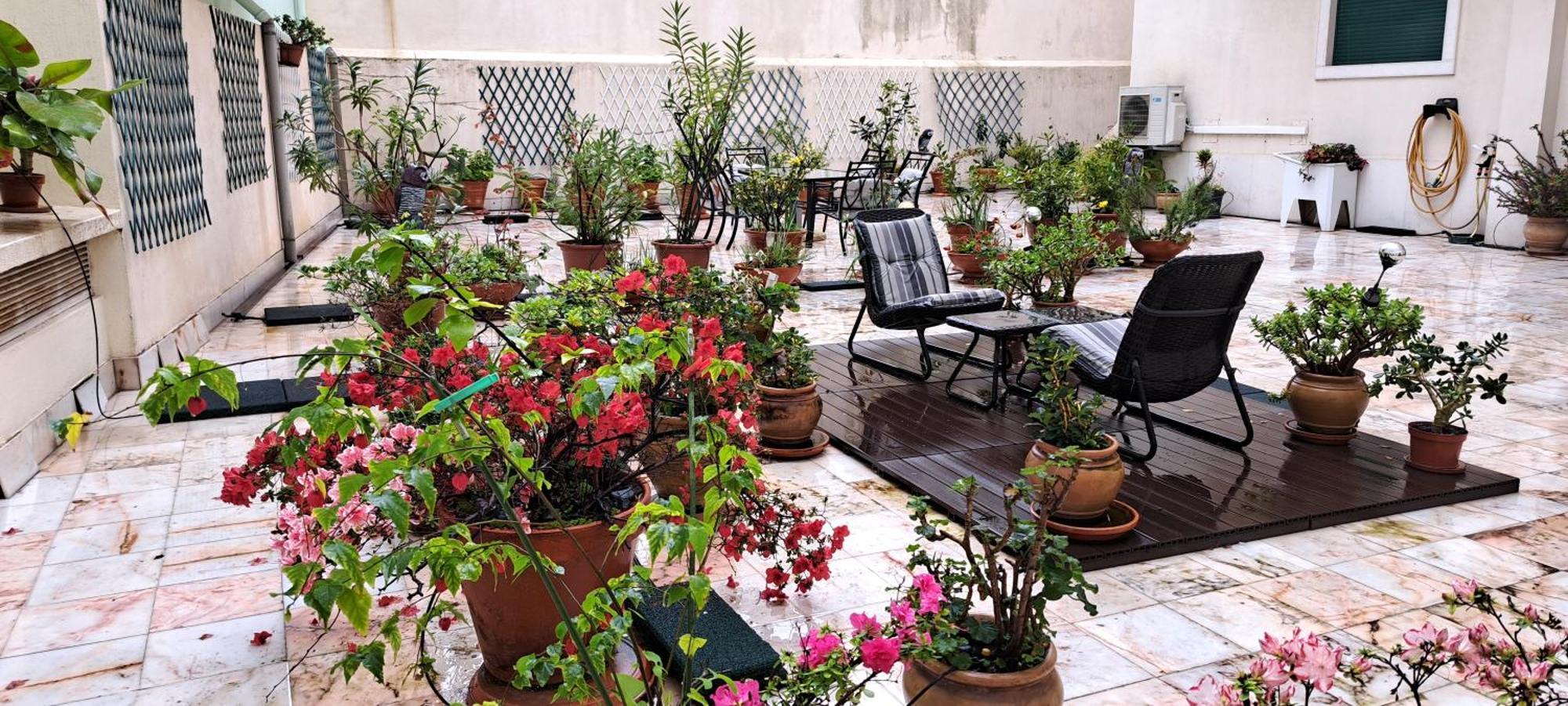 Apartmán Sunny Terrace Lisboa