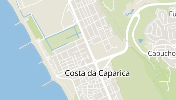 Térkép